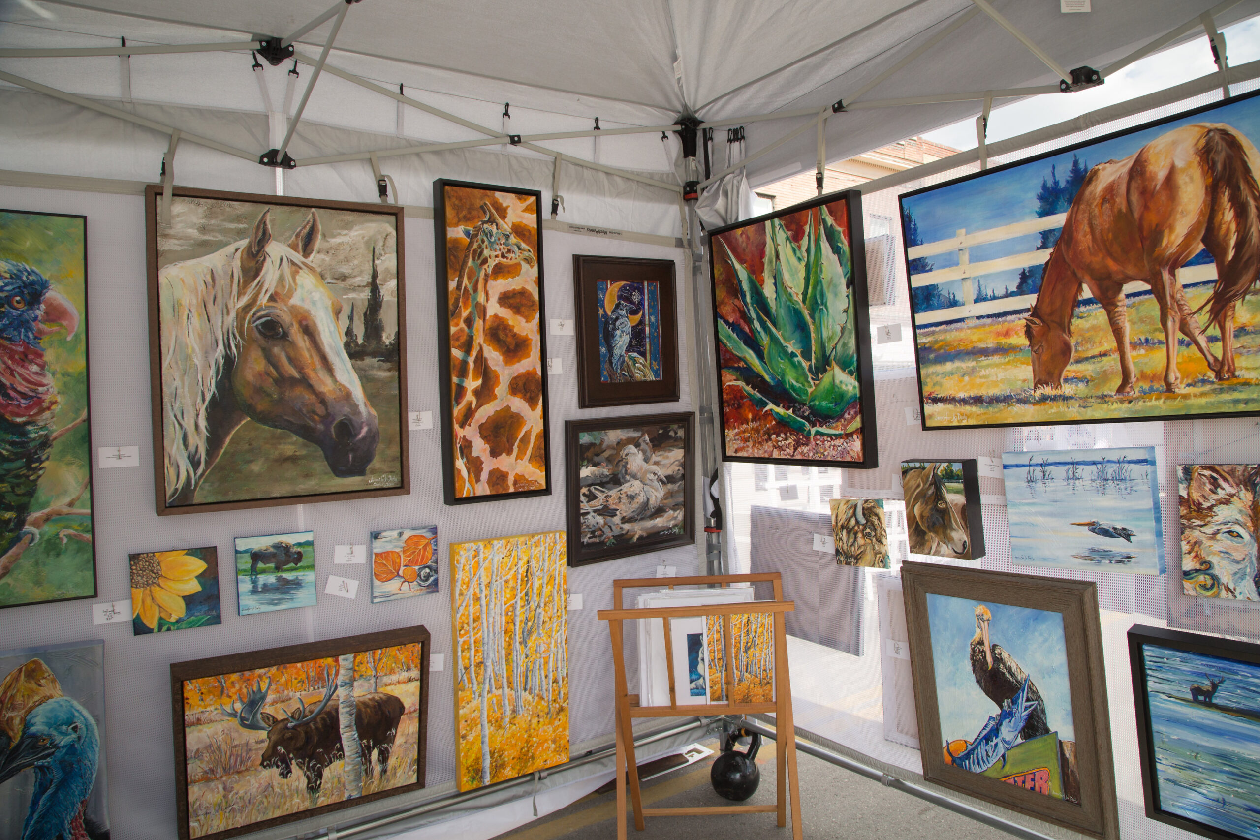 Art Exhibits